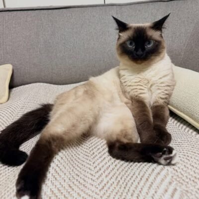 Milo